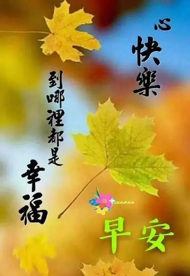 一条短信,有如此多的牵挂,只因它承载了浓浓的祝福,早安!