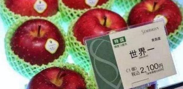 日本最贵的几种水果 第一价格昂贵最低价值150美元一个