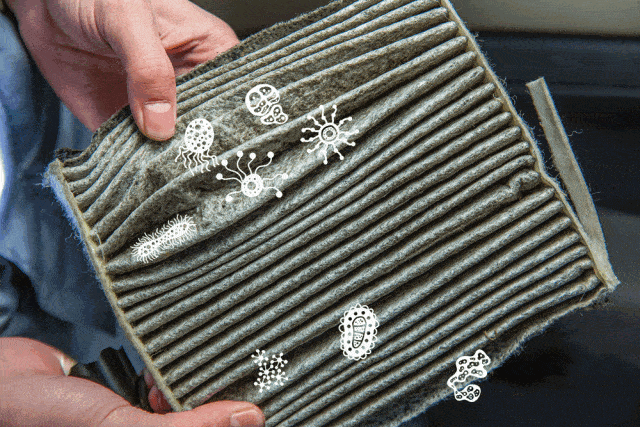 疫情期间开车到底戴不戴口罩？用这几招杀病毒靠谱吗？