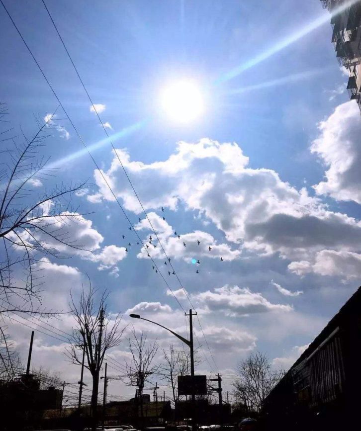 疫情期间开车到底戴不戴口罩？用这几招杀病毒靠谱吗？