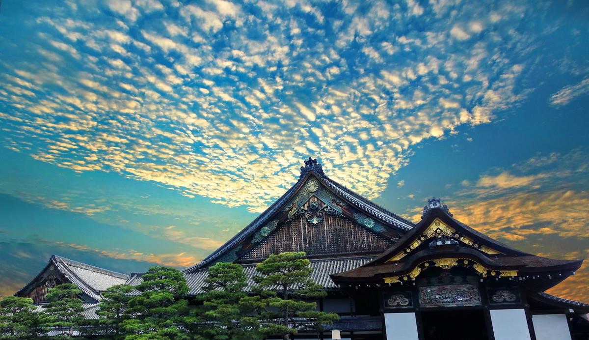 日本二条城,幕府将军在京都的行辕,如今有世界上最美的樱花