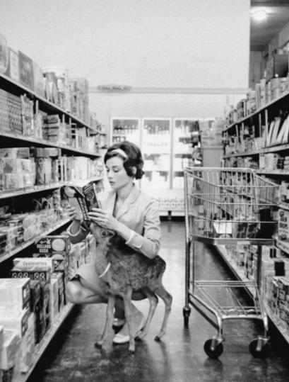 一组历史名人老照片：图二是梦露偷拍照，图五赫本带着小鹿在购物