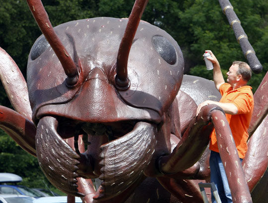 远古时期的巨型蚂蚁,竟然深藏剧毒成危害!|琥珀|蚂蚁|科学家_新浪新闻