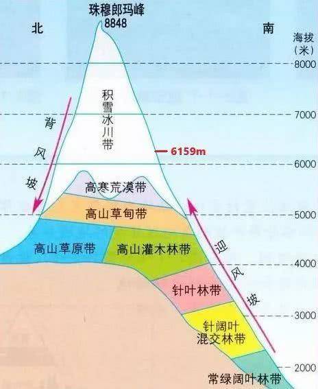 珠峰海拔6159米长出了绿色植被这不是春天来了而是狼来了