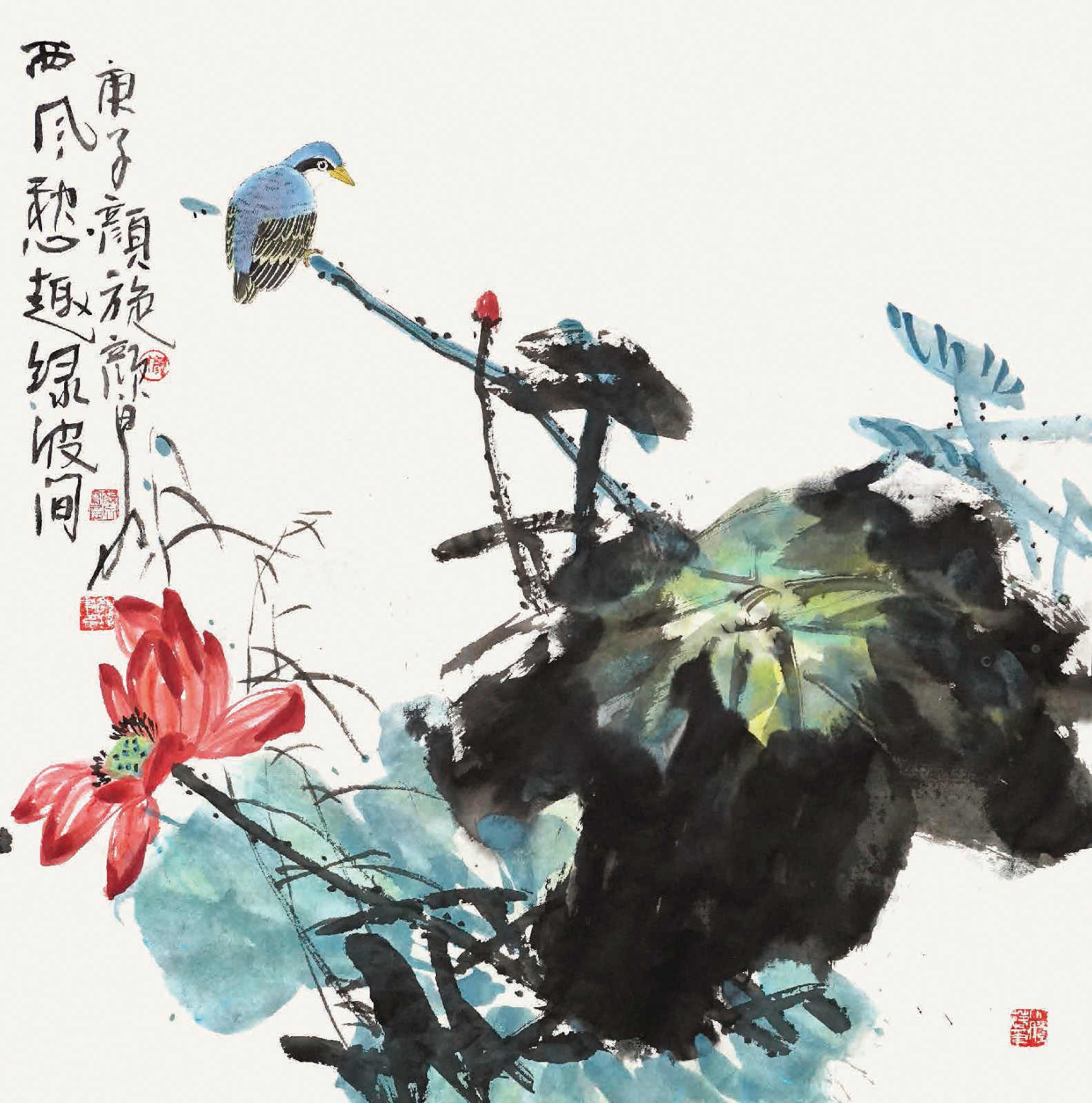 花鸟名家颜泉颜旋花鸟系列作品集锦