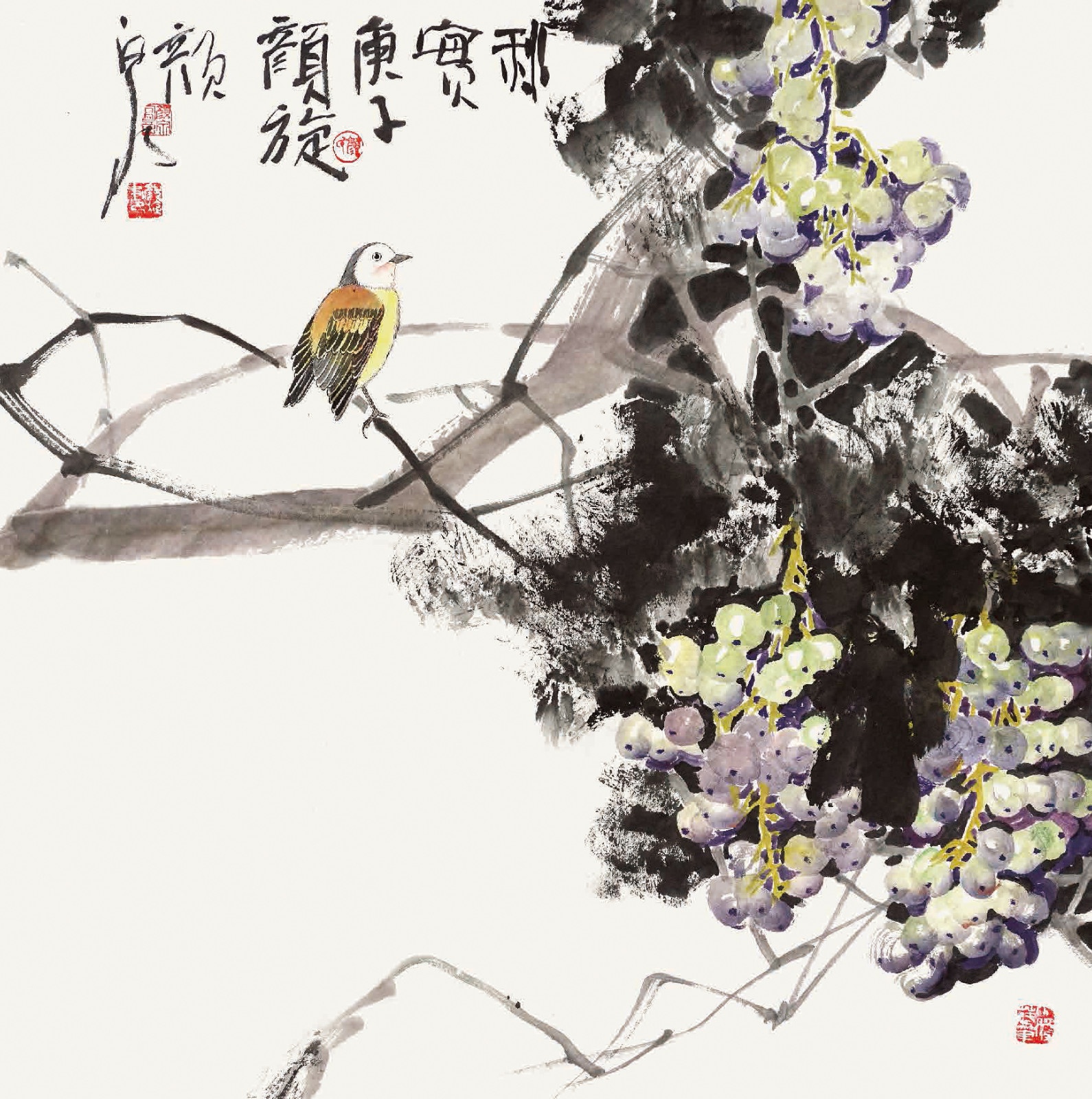 花鸟名家颜泉,颜旋花鸟系列作品集锦