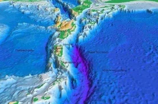 印度洋爪哇海沟出现了新物种,样貌奇丑,外形极似"苍蝇拍"