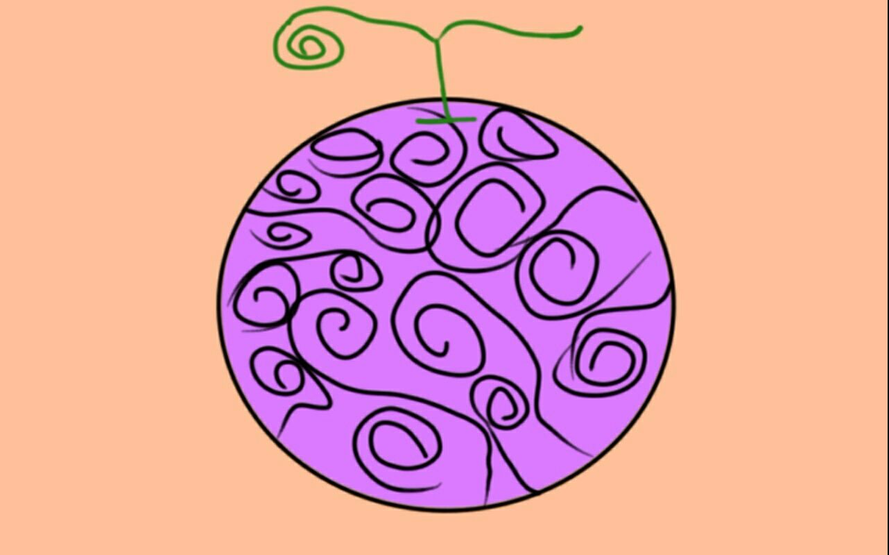 海贼王:人造果实恐致果实系统崩坏,百兽团或因人造果实覆灭|果实|恶魔