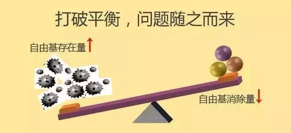 内部"处理器"被削弱(抽烟,喝酒,老化等),自由基过多,天平就会失衡