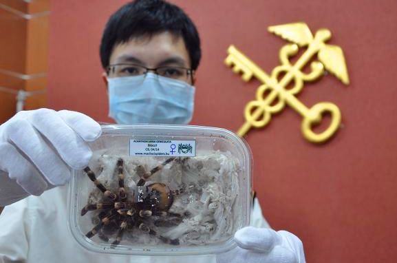 留学生携带"彩色盒子"过关被查获,当警方检验后她立马跪地痛哭