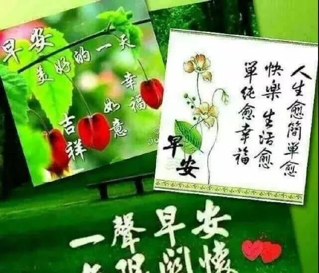 云儿飘,树儿摇;草儿摆,花儿笑;手机响,短信到;收祝福:早安早安早上好