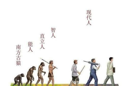 为何基督教等教派就是相信神创论,否认进化论,这是否是迷信?|进化论|神创论|神学_新浪新闻