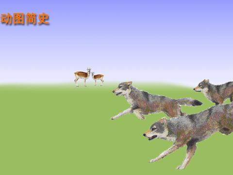狼群狩猎:战术规划之严密,分明就是一支军队|黄羊|头羊|羊群|山谷|利爪_新浪新闻