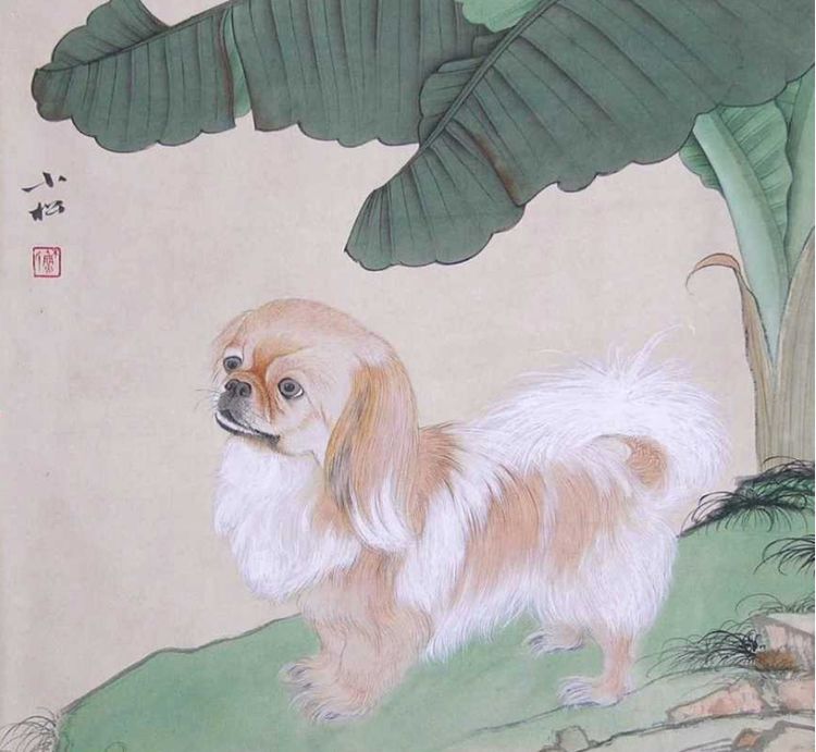 70年、82年、94年属狗人2月逃不掉的大劫已到,别只看一半,准!|属狗|生肖狗|吉星_新浪新闻