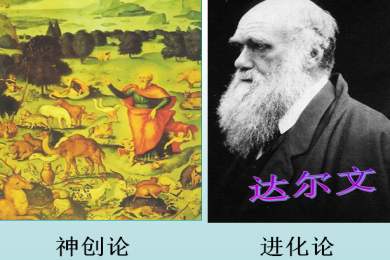 为何基督教等教派就是相信神创论,否认进化论,这是否是迷信?|进化论|神创论|神学_新浪新闻