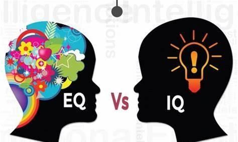情商eq和智商iq之间有什么区别