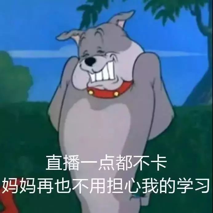 那些被网课"逼疯"的老师和学生,成了网友的快乐源泉
