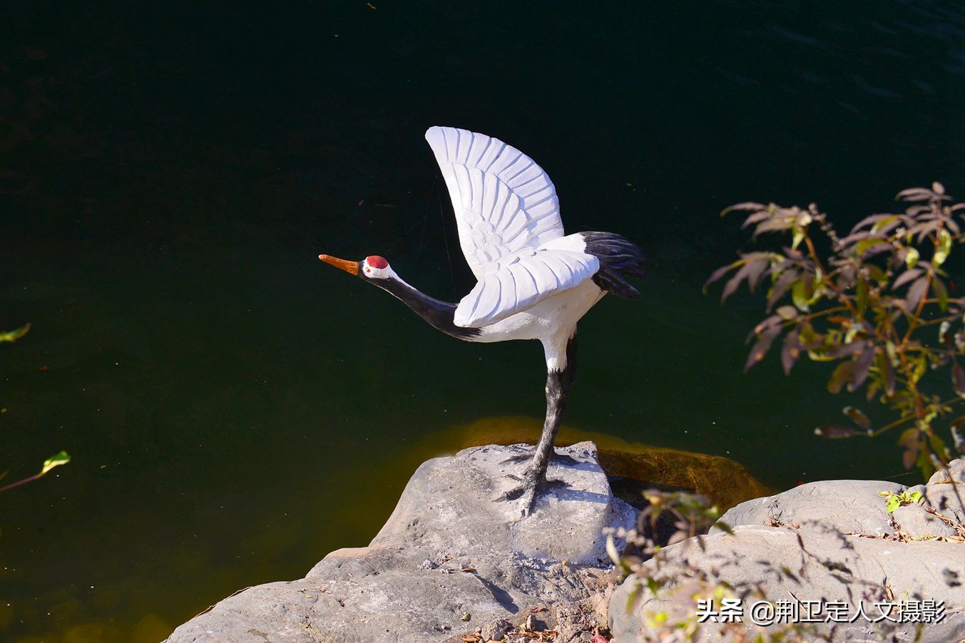 图为项大哥制作的一只安放在溪水边的仙鹤造型,栩栩如生,展翅欲飞,与