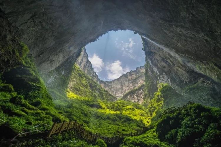全球最大地下原始森林,面积9.6万平方米,就在我国一处天坑中!