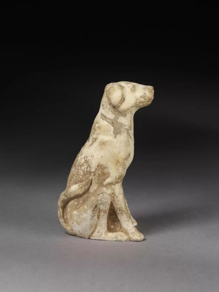 这三条给狗定的法律,美国至今奉为经典