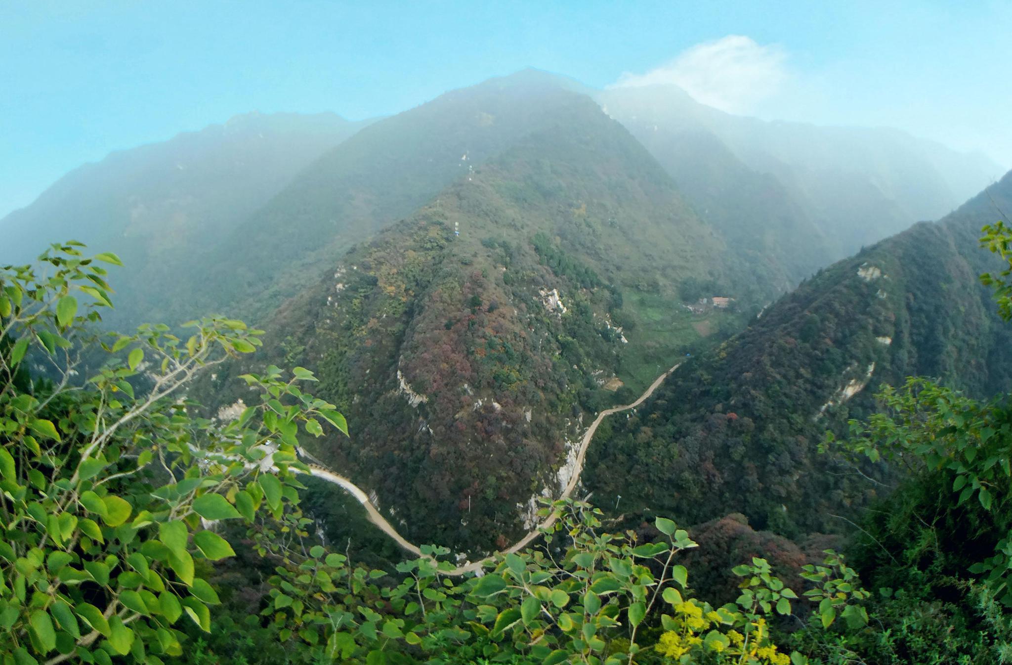 西安的迎春花开了疫情结束我们一起探访秦岭72峪问道终南山