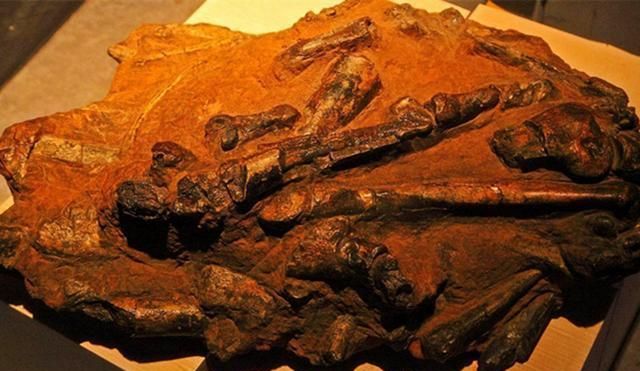 中国最早的直立人,有说生活在170万年前,有说生活在60万年前?
