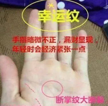 手中有中指金星纹,貴人运旺盛,遇难呈祥|貴人|呈祥|掌纹_新浪新闻