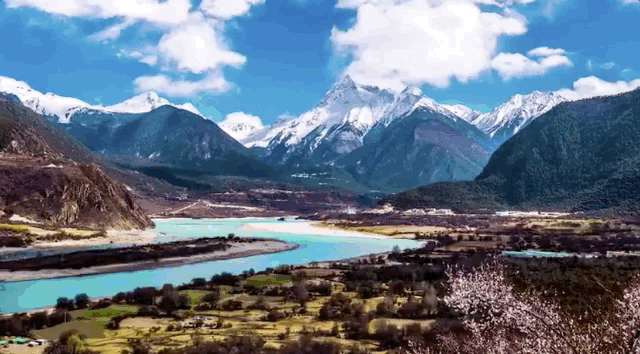 让西藏封神的地方不是拉萨而是林芝,雪山不输瑞士花海秒杀日本