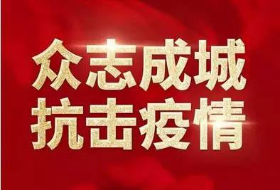 点赞！安康一企业为助力家乡抗疫 老板远赴国外采购物资