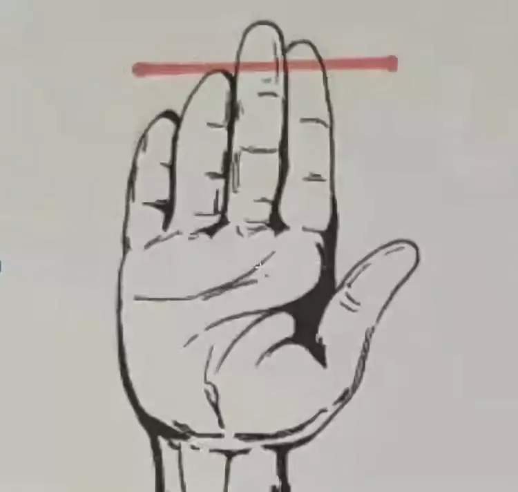 手相|无名指|食指_新浪新闻