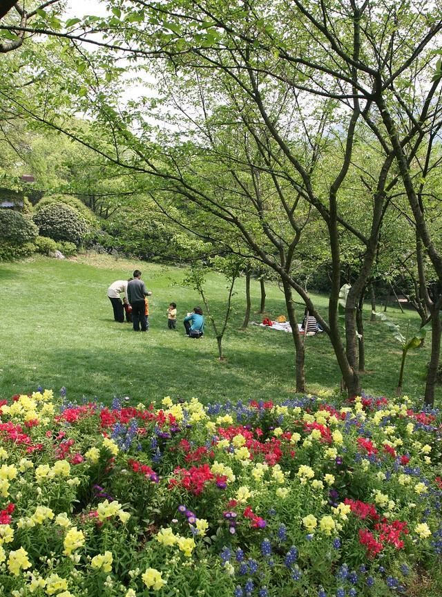 冬去春来 英语怎么说 雪莱 诗人 英语 新浪新闻