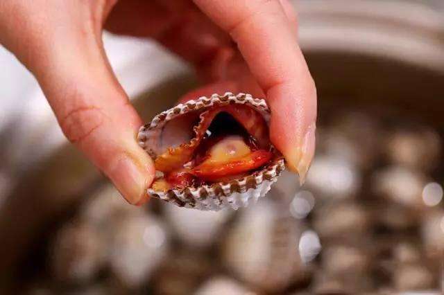 它"鲜血淋漓",老饕们连肉带血吃下去,味道相当的鲜美|柬埔寨|血蛤