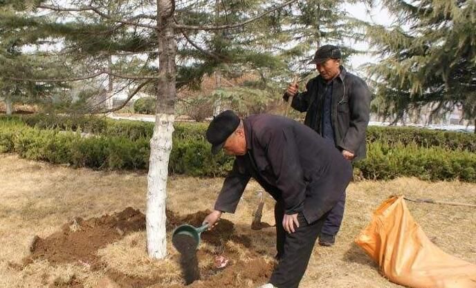 農(nóng)家肥也是發(fā)酵肥，為什么比不上有機(jī)肥