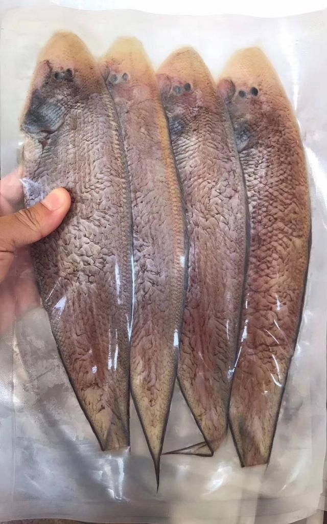 地方也叫目鱼,鳎米鱼,舌头鱼,牛舌鱼,鳎目鱼,龙力鱼,细鳞鱼,塔西鱼,狗