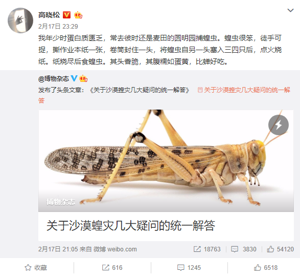 高晓松"高度"评价蝗虫:头香脆,腹糯如蛋黄,比蝉好吃
