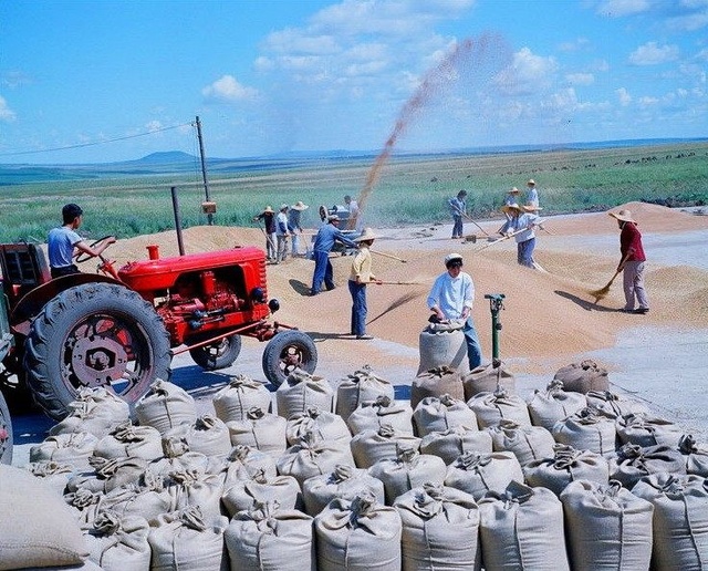 70年代,东北农场的知识青年,激情洋溢