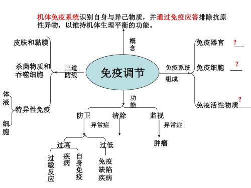 乙肝抗病毒,是否启动核苷类似物,主要观察免疫应答情况