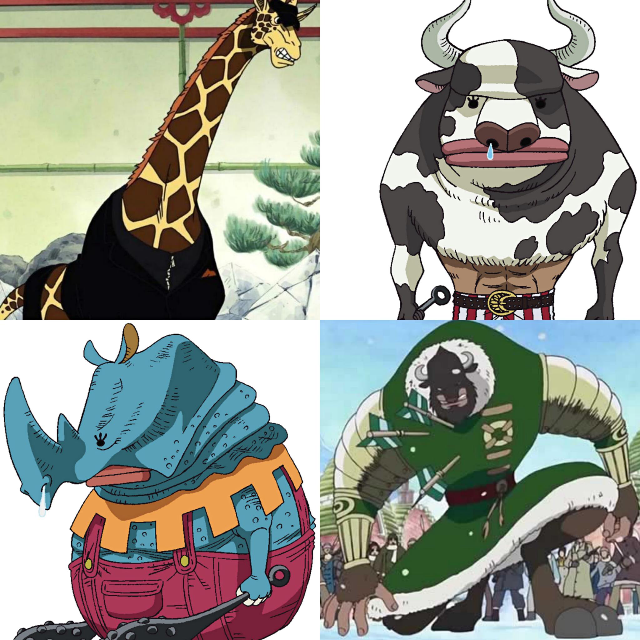 海贼王:奇妙的动物系,同名果实存在多种形态!龙龙果实多达5颗