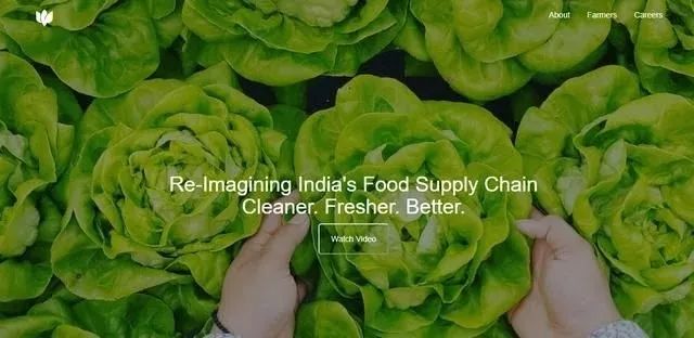 国家将支持认养农业和可视农业;餐饮企业自救的三大方法