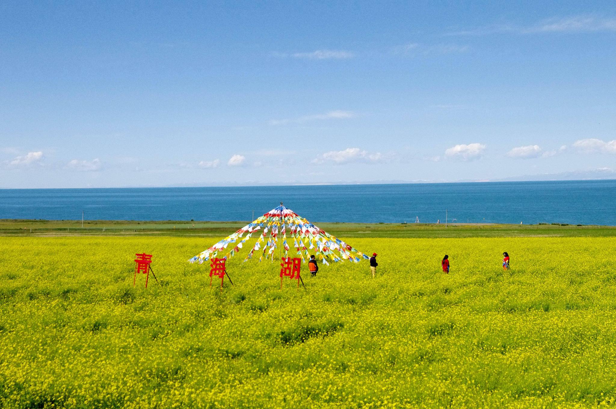 每一个到过青海湖的人都未曾被辜负