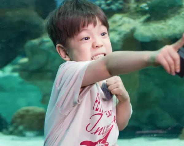 有种"脱胎换骨"叫杜宇麒长大了,浓眉大眼不算啥,情商令人佩服