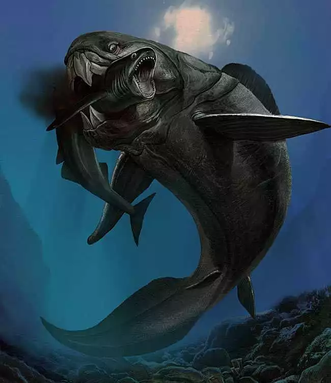 同样都是海洋霸主,邓氏鱼和沧龙谁更强?数据分析一眼看出