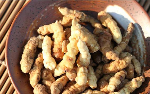 草石蚕儿时看着害怕长大后才知道是宝贝根茎腌着吃味道好