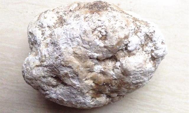 游客在北海海边捡到龙涎香,重1159克,估计值达110万