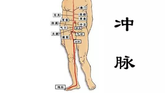 中医四海养护法 血海 气海 髓海 水谷之海 气海 血海 四海 新浪新闻 中医四海养护法 血海 气海 髓海 水谷之海 气海 血海 四海 新浪新闻