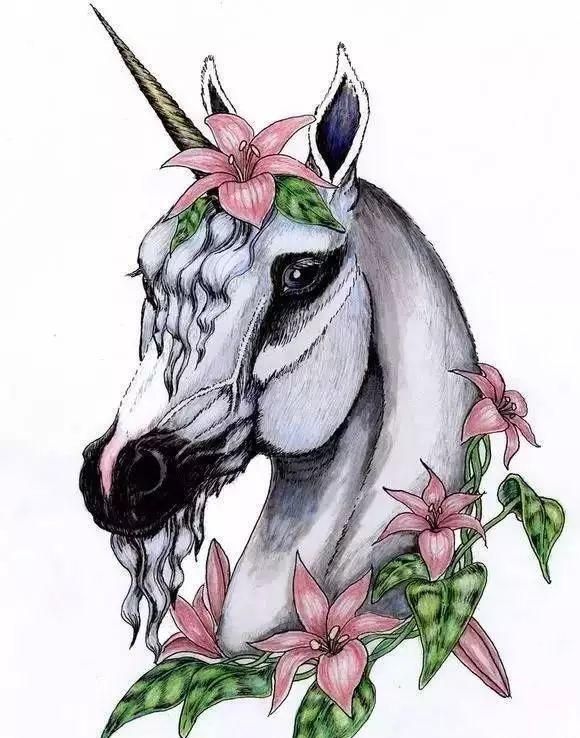 我是雕刻师素描手稿第三十七期独角兽纹身雕刻素材