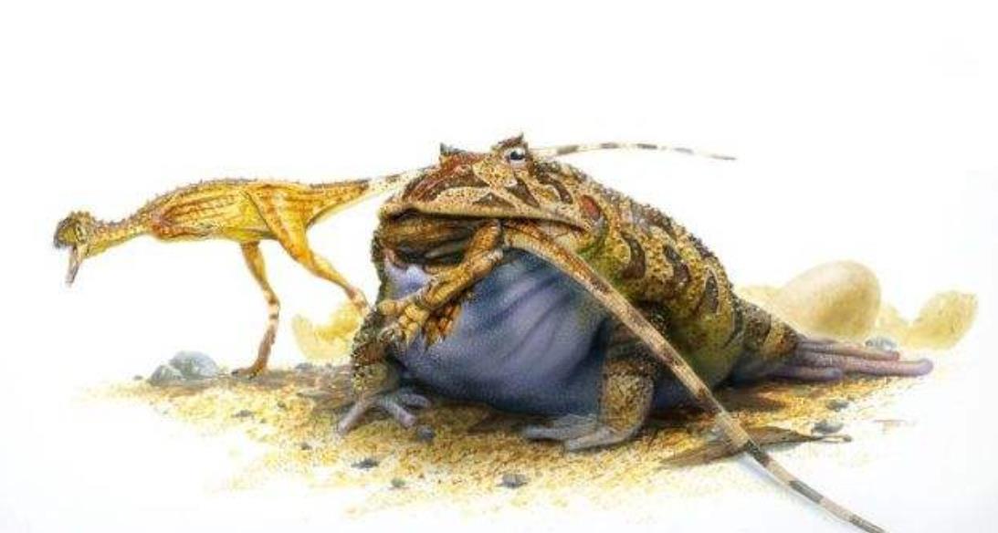 长有牙齿的青蛙体型大到难以想象25亿年里吃了无数恐龙