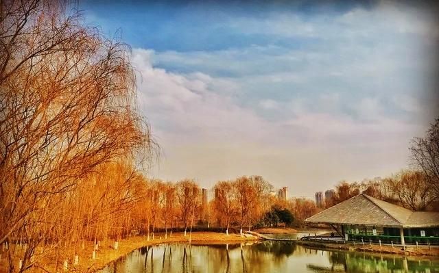 西安城北有一湿地公园,曾需门票六十,现在免费开放