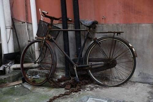 自行车报废了,轮子直接拆下来,变成装饰品还挺美