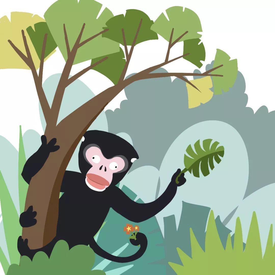 怒江金丝猴高黎贡山里极度濒危的灵长类动物